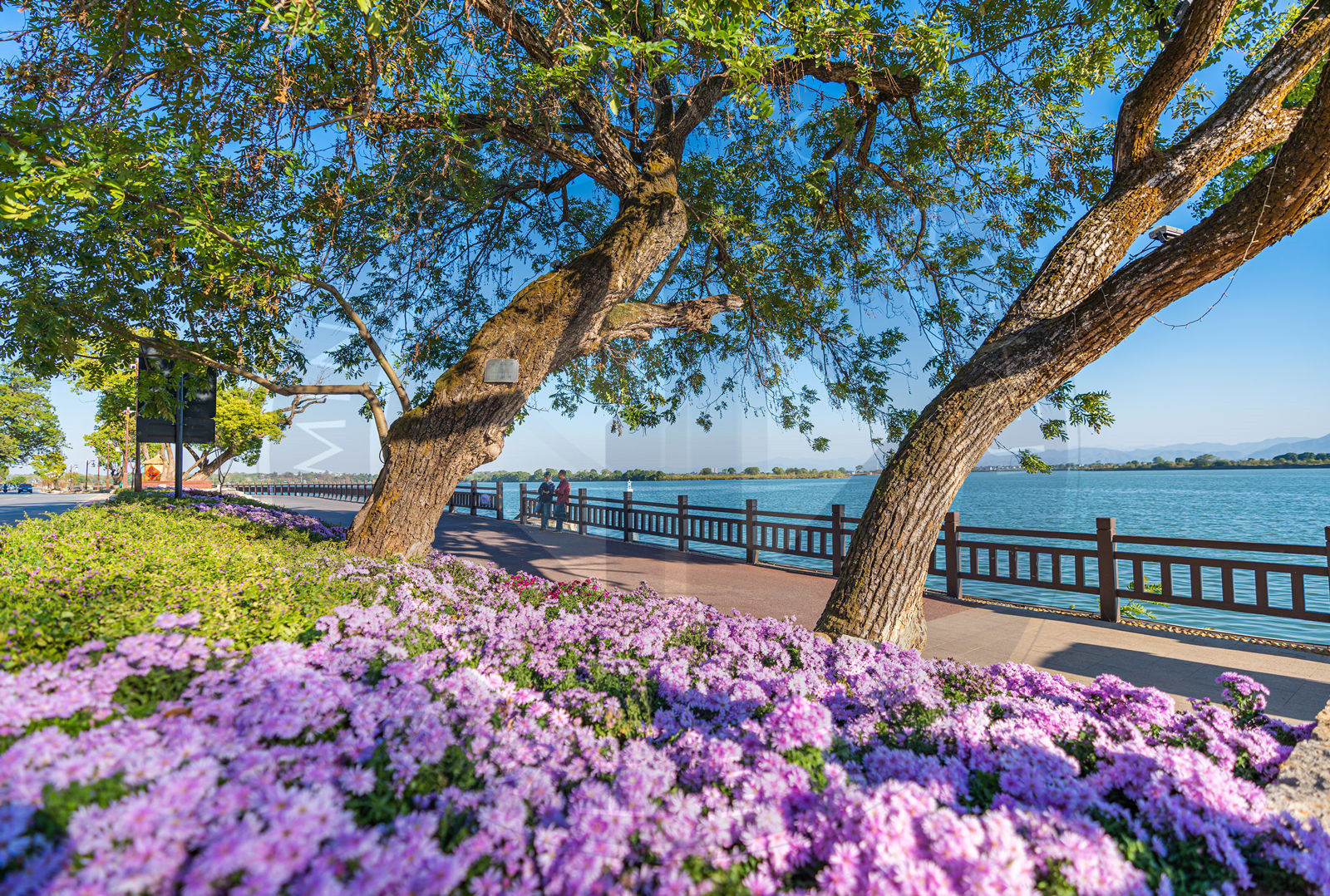 团石 (7)_副本.jpg