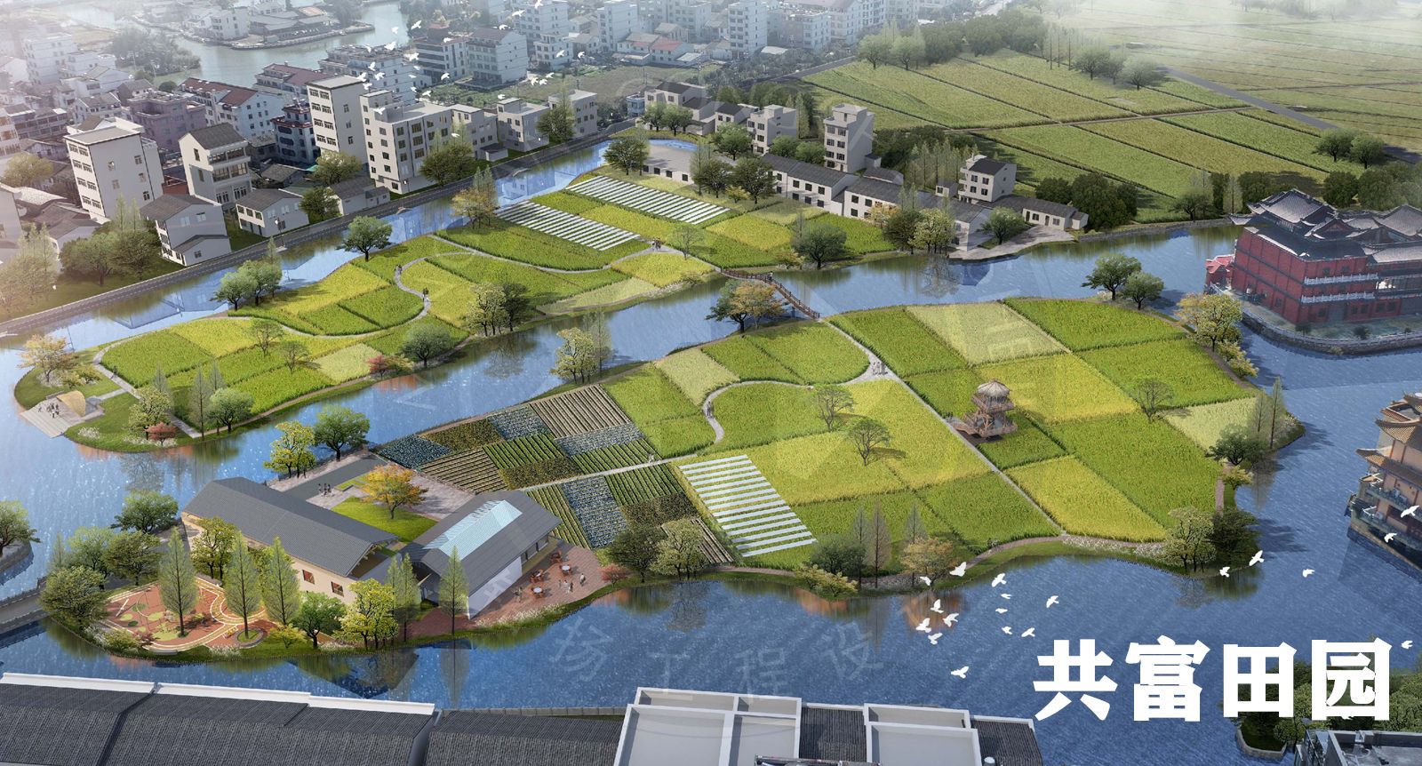 共富田园_副本.jpg